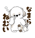 シーズー犬 2025 「北海道弁」（個別スタンプ：36）