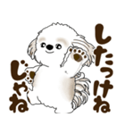 シーズー犬 2025 「北海道弁」（個別スタンプ：39）