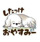 シーズー犬 2025 「北海道弁」（個別スタンプ：40）