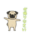 [お帰りなさい専用]パグパグ（個別スタンプ：1）
