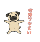 [お帰りなさい専用]パグパグ（個別スタンプ：4）
