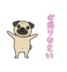 [お帰りなさい専用]パグパグ（個別スタンプ：5）