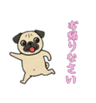 [お帰りなさい専用]パグパグ（個別スタンプ：7）