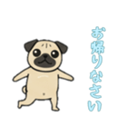 [お帰りなさい専用]パグパグ（個別スタンプ：8）