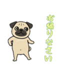 [お帰りなさい専用]パグパグ（個別スタンプ：11）