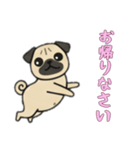 [お帰りなさい専用]パグパグ（個別スタンプ：15）