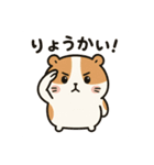 モルモットのぷい子（個別スタンプ：5）