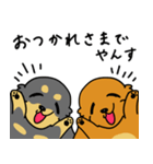 したっぱ可愛いやんすダックス（個別スタンプ：2）