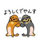 したっぱ可愛いやんすダックス（個別スタンプ：4）