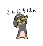 したっぱ可愛いやんすダックス（個別スタンプ：6）