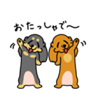 したっぱ可愛いやんすダックス（個別スタンプ：7）