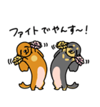 したっぱ可愛いやんすダックス（個別スタンプ：9）