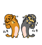 したっぱ可愛いやんすダックス（個別スタンプ：10）