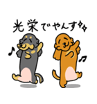 したっぱ可愛いやんすダックス（個別スタンプ：15）