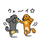 したっぱ可愛いやんすダックス（個別スタンプ：21）