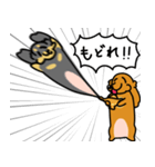 したっぱ可愛いやんすダックス（個別スタンプ：24）