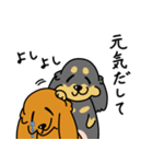 したっぱ可愛いやんすダックス（個別スタンプ：28）