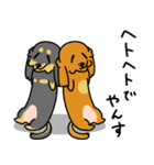 したっぱ可愛いやんすダックス（個別スタンプ：32）