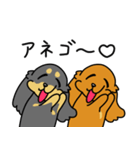 したっぱ可愛いやんすダックス（個別スタンプ：34）