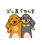 したっぱ可愛いやんすダックス（個別スタンプ：36）