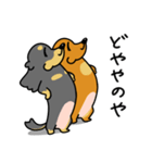 したっぱ可愛いやんすダックス（個別スタンプ：37）