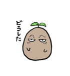 じゃがブラザーズ（個別スタンプ：34）