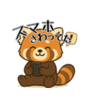 レッサーパンダ日常スタンプ第8弾（個別スタンプ：6）