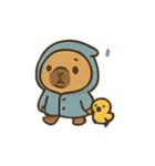 雨の日カピバラとひよこ（個別スタンプ：3）