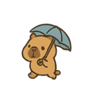 雨の日カピバラとひよこ（個別スタンプ：5）