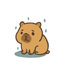 雨の日カピバラとひよこ（個別スタンプ：6）