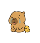 雨の日カピバラとひよこ（個別スタンプ：7）