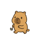 雨の日カピバラとひよこ（個別スタンプ：8）