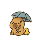雨の日カピバラとひよこ（個別スタンプ：10）