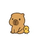 雨の日カピバラとひよこ（個別スタンプ：13）