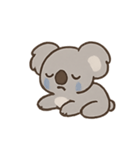こあくまコアラじゃなくてほっこりコアラ（個別スタンプ：7）