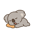 こあくまコアラじゃなくてほっこりコアラ（個別スタンプ：8）