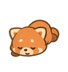 レッサーパンダフレンド（個別スタンプ：3）