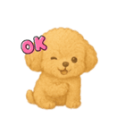 モフモフトイプーちゃん（個別スタンプ：1）