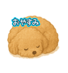 モフモフトイプーちゃん（個別スタンプ：4）