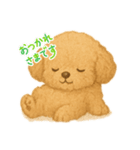 モフモフトイプーちゃん（個別スタンプ：5）