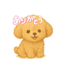 モフモフトイプーちゃん（個別スタンプ：6）