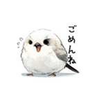 ステッカー風 可愛いシマエナガスタンプ（個別スタンプ：3）