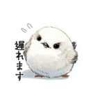 ステッカー風 可愛いシマエナガスタンプ（個別スタンプ：4）
