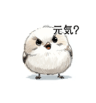 ステッカー風 可愛いシマエナガスタンプ（個別スタンプ：5）