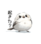 ステッカー風 可愛いシマエナガスタンプ（個別スタンプ：6）