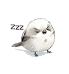 ステッカー風 可愛いシマエナガスタンプ（個別スタンプ：7）