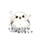 ステッカー風 可愛いシマエナガスタンプ（個別スタンプ：11）