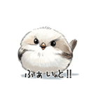 ステッカー風 可愛いシマエナガスタンプ（個別スタンプ：12）