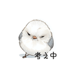 ステッカー風 可愛いシマエナガスタンプ（個別スタンプ：15）