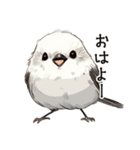 シンプルな手書きシマエナガスタンプ（個別スタンプ：1）